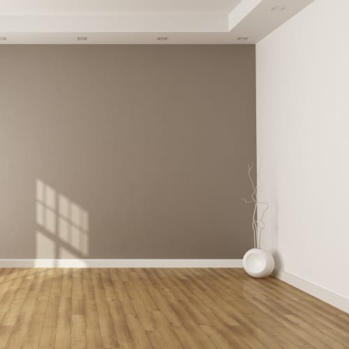 Move In Cleaning